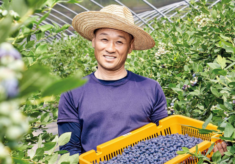 쫓기던 도시 생활에서 벗어나 쉰 이후 농촌에서 찾은 새 삶